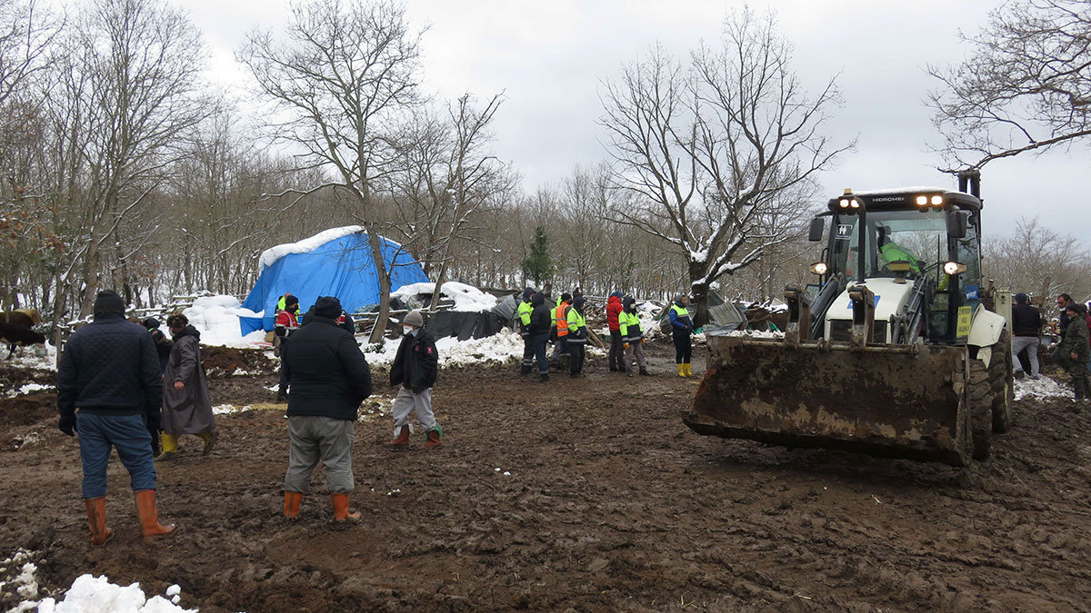 Ahırın çatısı çöktü: 10 hayvan öldü