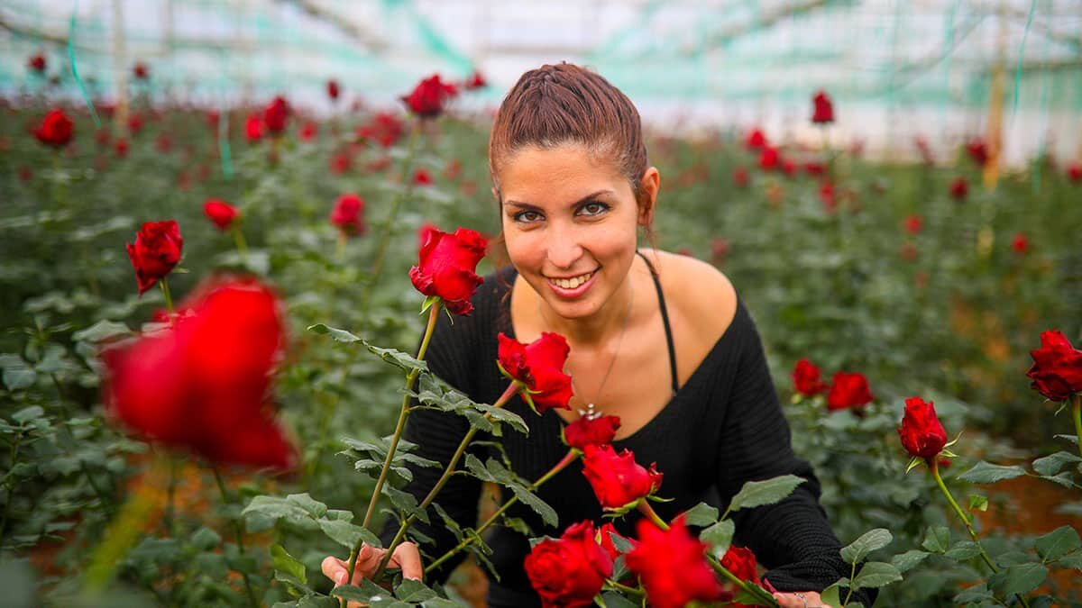 Üreticiler 14 Şubat Sevgililer Günü'ne odaklandı