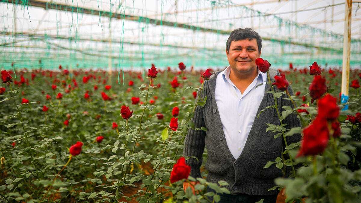 Üreticiler 14 Şubat Sevgililer Günü'ne odaklandı