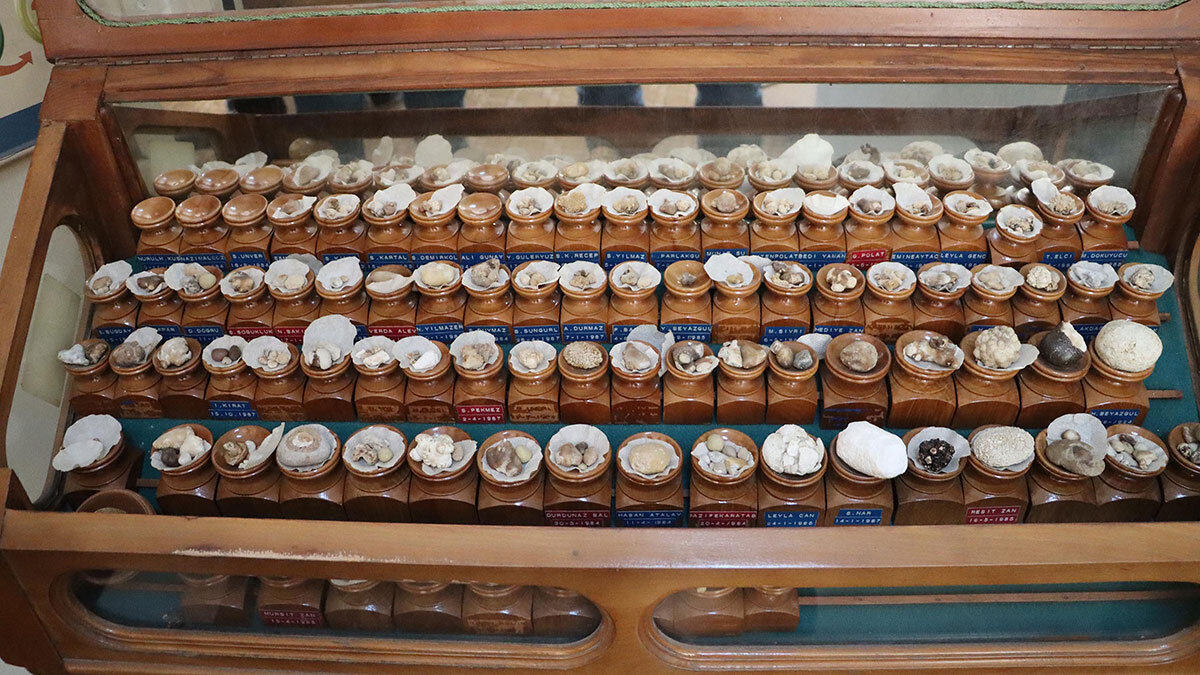 Zan, "Belki 2 bini aşkın ameliyat yaptım, bu ameliyatlarımda çıkan ilginç taşları sergilemeye tabi tuttum. Bu taşları gören çok su içmeye başladı” dedi.