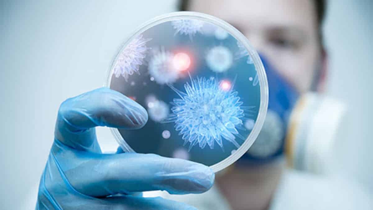 Mutasyonlu virüs bir kez daha mutasyona uğradı