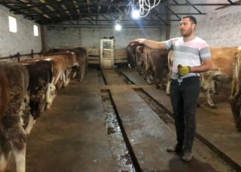 Gençler köylerine gelsinler hayvancılık yapsınlar