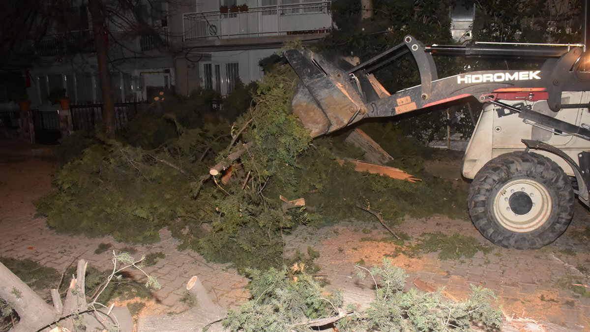 İzmir'de fırtına; ağaçlar devrildi, çatılar uçtu