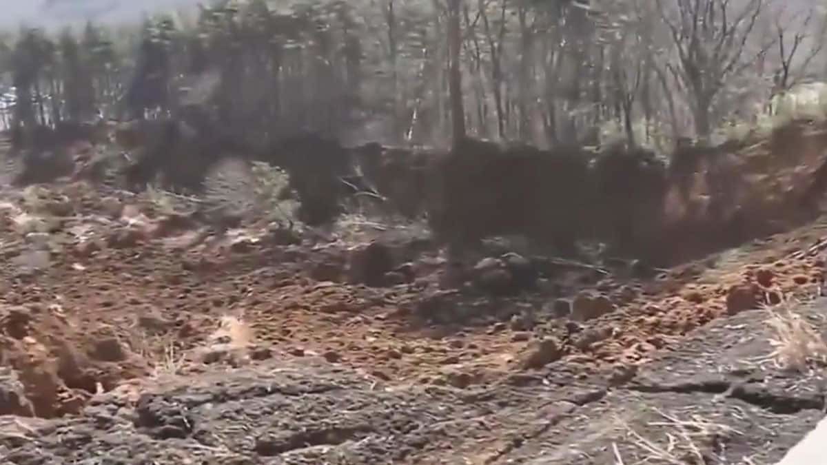 Kara yollarında meydana gelen derin çatlaklıklar ve toprak kaymasından etkilenen bölgeler yer aldı.