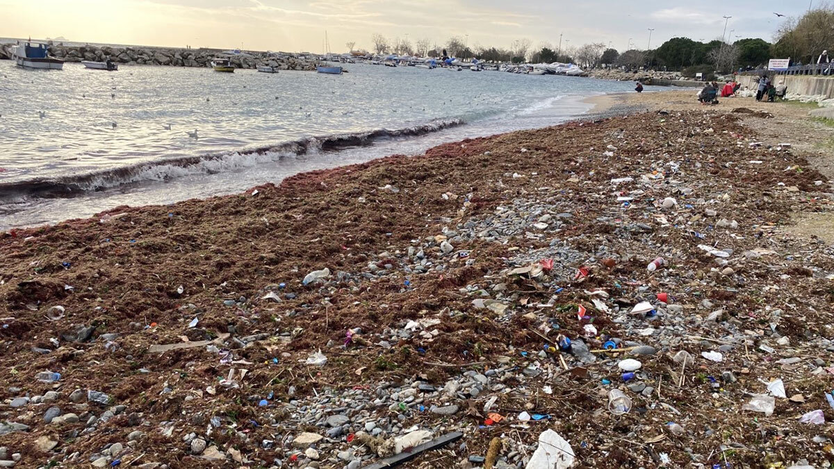 Kıyıdaki plastik şişe, ayakkabı, tahta parçaları kameraya yansıdı.