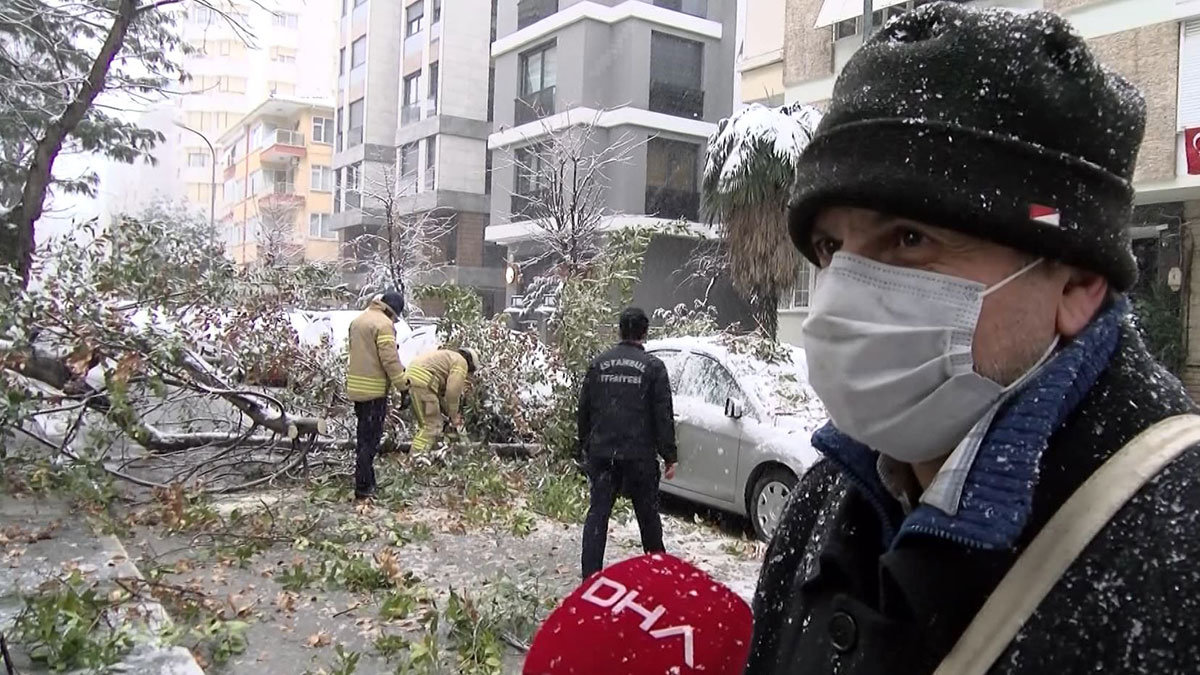 Kadıköy'de 2 otomobilin üzerine ağaç devrildi