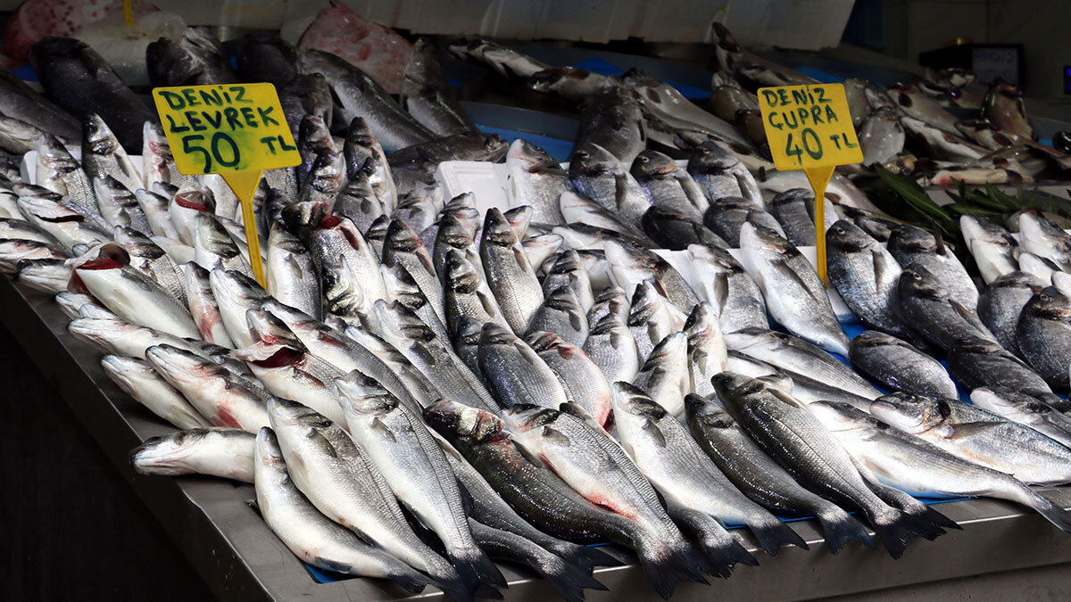 Karadeniz ısındı, balıkların boy ve göç yolları değişti