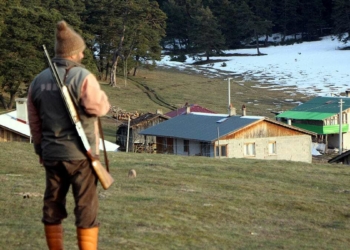 Çamyayla köyü yaylasında nöbet tutuyor