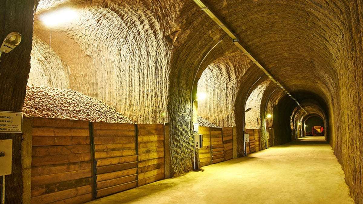 Konya Şeker, patates nişastası ihracatı yapıyor