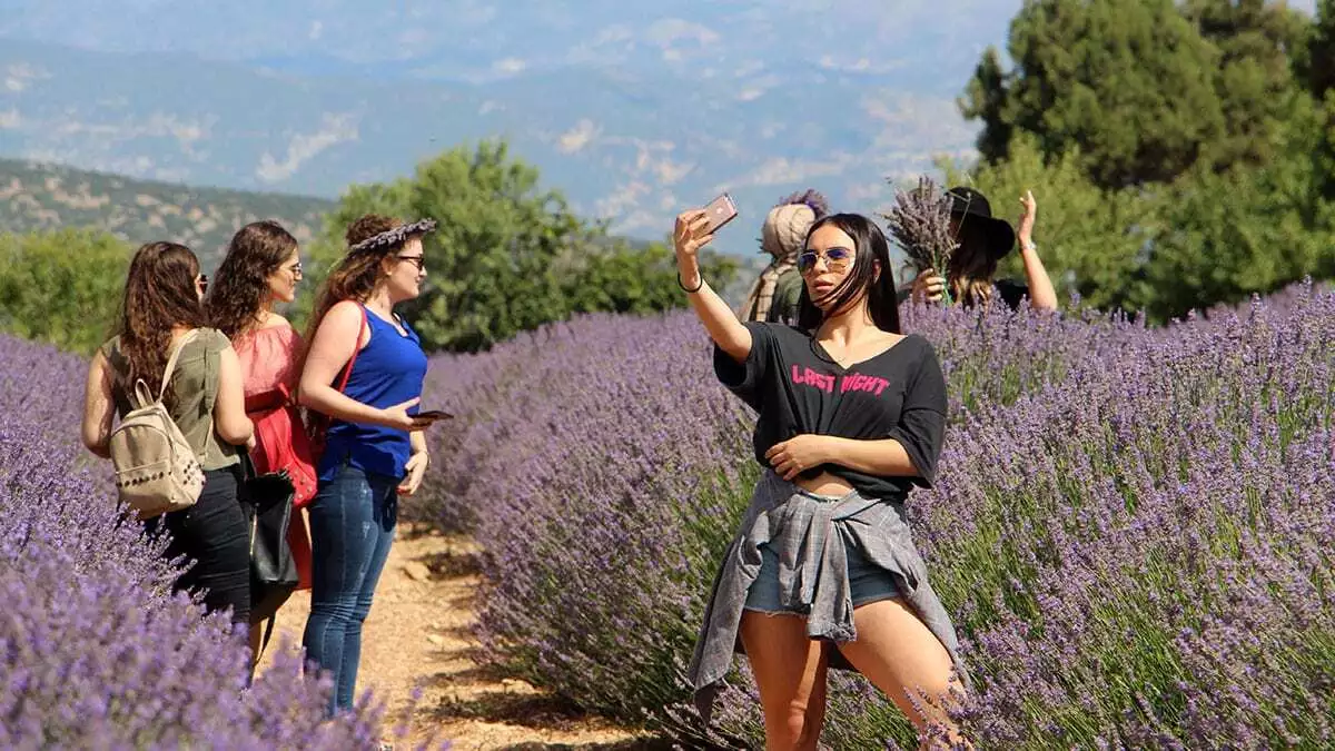 Türkiye'nin lavanta bahçesi 'mor renkli köy' adıyla ünlenen isparta'nın kuyucak köyünde koronavirüs vakasına rastlanmadı.