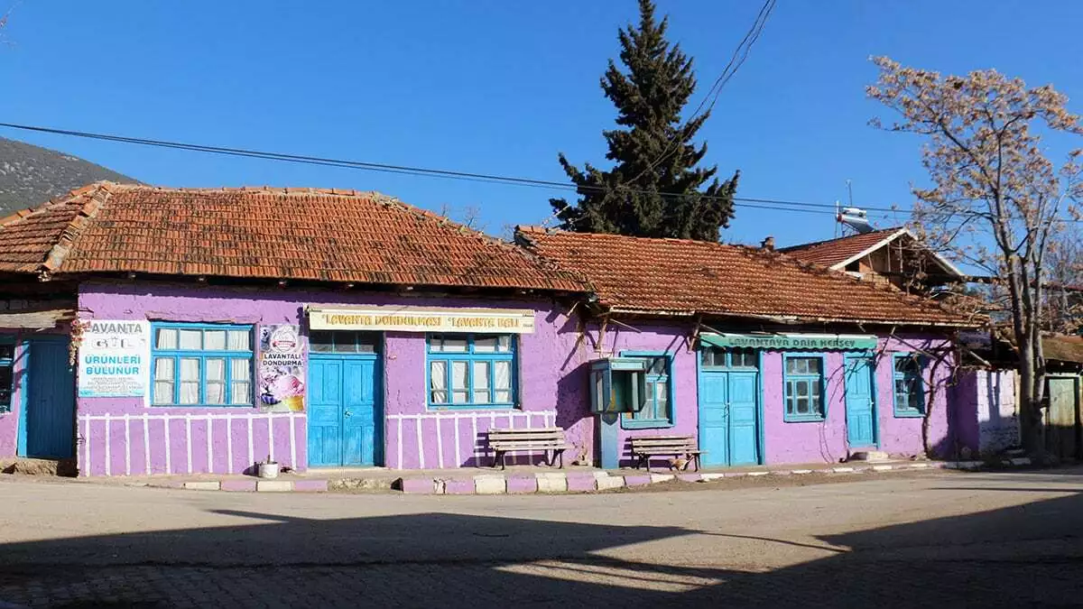 Mor renkli köyde hiç vakaya rastlanmadı