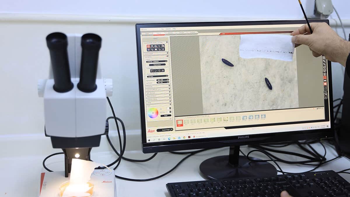 Akdeniz Üniversitesi (AÜ) Fen Fakültesi Biyoloji Bölümü öğretim üyesi Prof. Dr. Hüseyin Çetin, kuraklık ve yağış azlığı nedeniyle çevrede oluşan durağan su birikintilerinin sivrisinek popülasyonunu artırdığını söyledi.