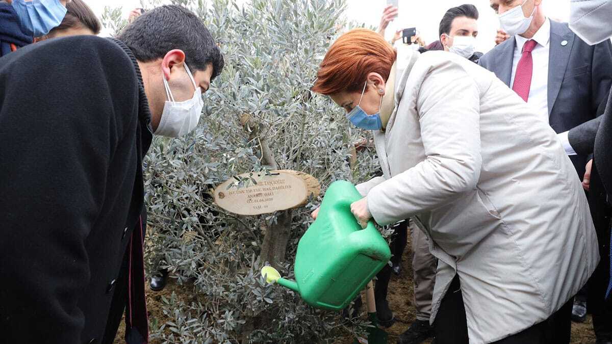 Akşener hayatını kaybeden sağlıkçılar anısına fidan dikti