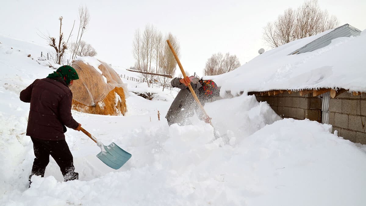 Muş’ta tek katlı evler kara gömüldü