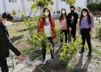 2 bine yakın okul bahçesine meyve fidanları