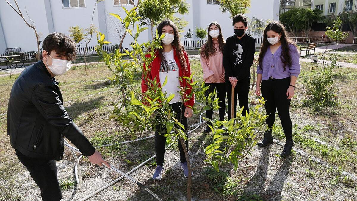 2 bine yakın okul bahçesine meyve fidanları