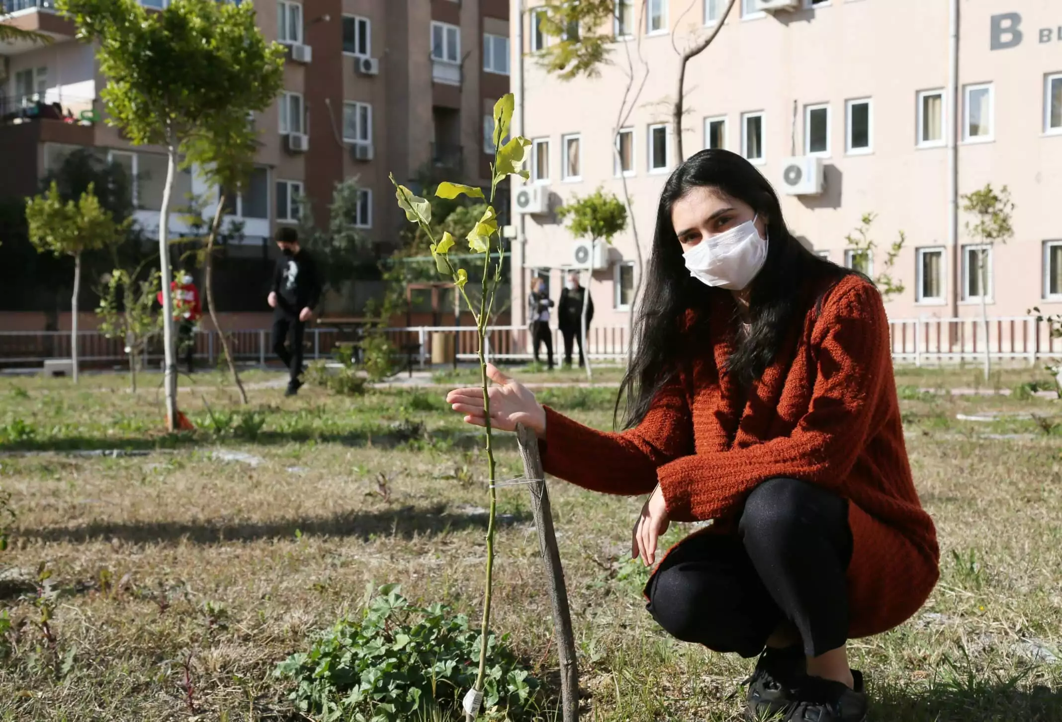 2 bine yakın okul bahçesine meyve fidanları