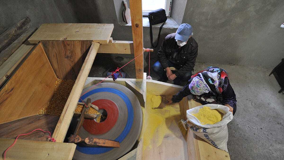 Trabzon’un Beşikdüzü ilçesine bağlı Kalegüney Mahallesi sakinleri, zamanla hasar gören 400 yıllık su değirmenlerini onarıp yeniden kullanır hale getirdi.