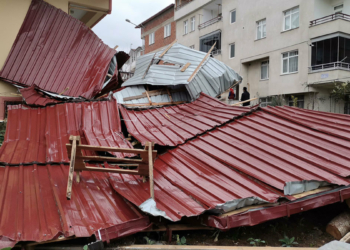 Ordu’da şiddetli rüzgar ağaçları devirdi, çatıları uçurdu