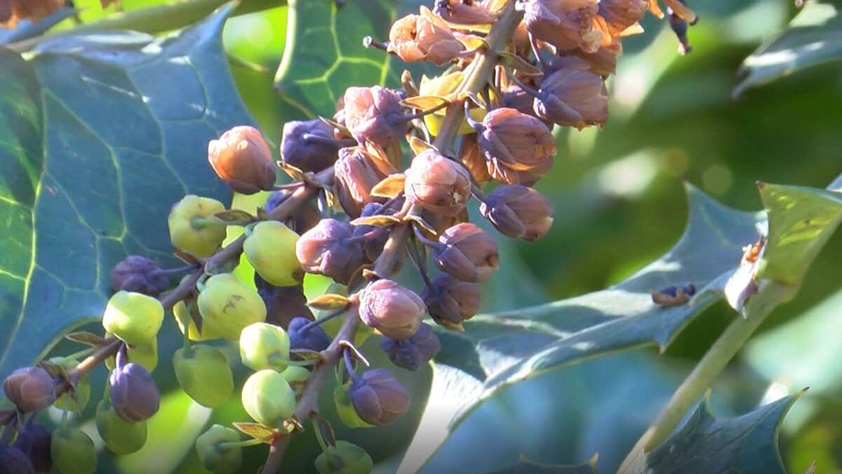 Büyük kentlere su yetiştiremeyiz