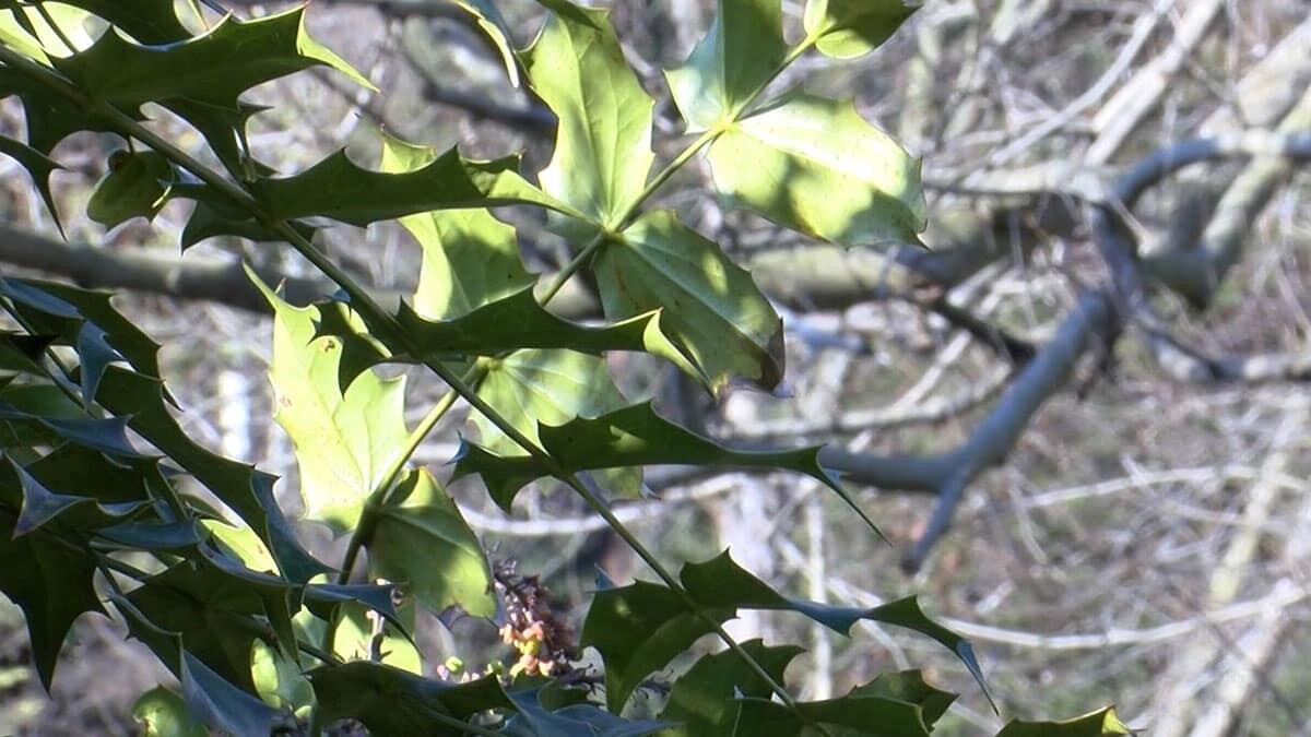 Prof. Dr. Tolunay: Barajları yüzde 100 doluluğa ulaştıramazsak büyük kentlere su yetiştirmemiz mümkün değil.
