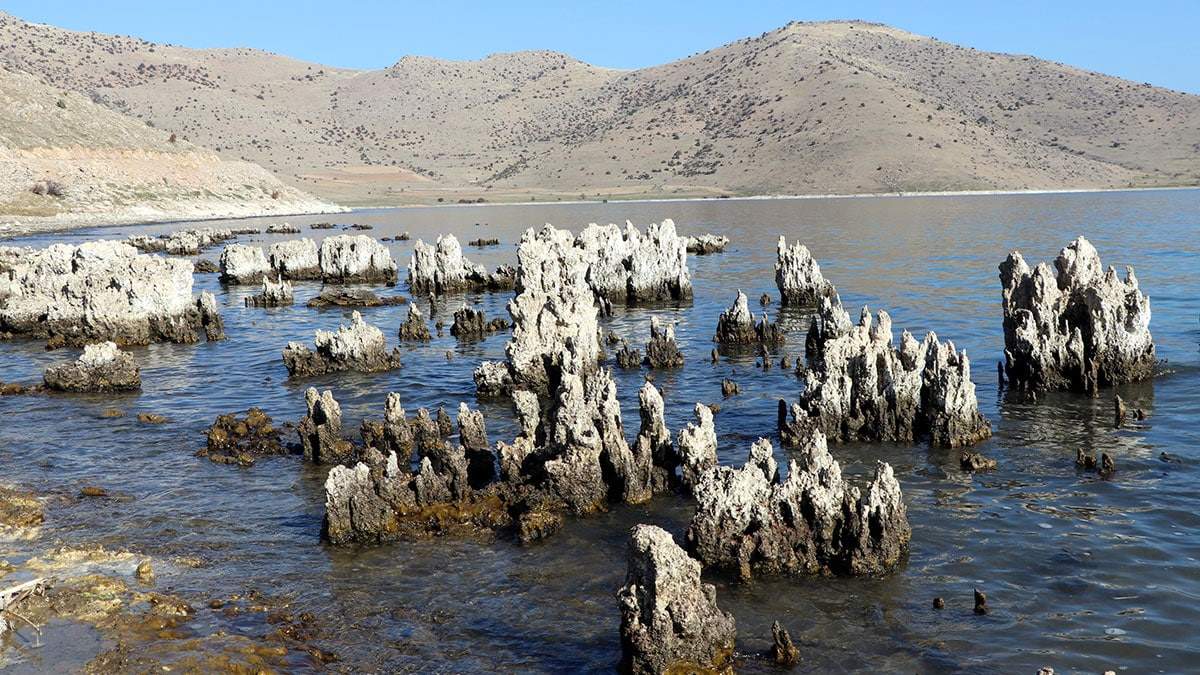 Can ve mal kayıplarına neden olabilecek sorun