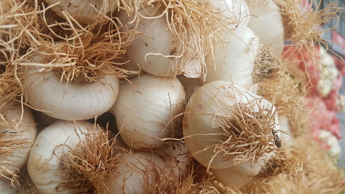 Sanal dünyanın koronavirüs hurafeleri; en çok bunlar arandı