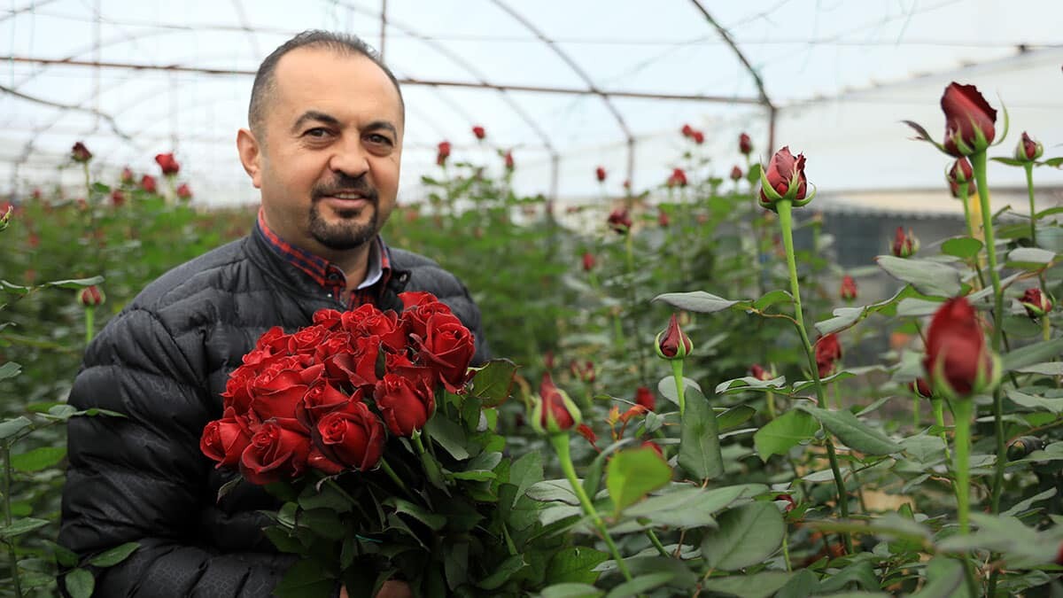 14 Şubat Sevgililer Günü için bir dal kırmızı gül seradan 5 liraya çıkarken, çiçekçide 15 liraya satılıyor.