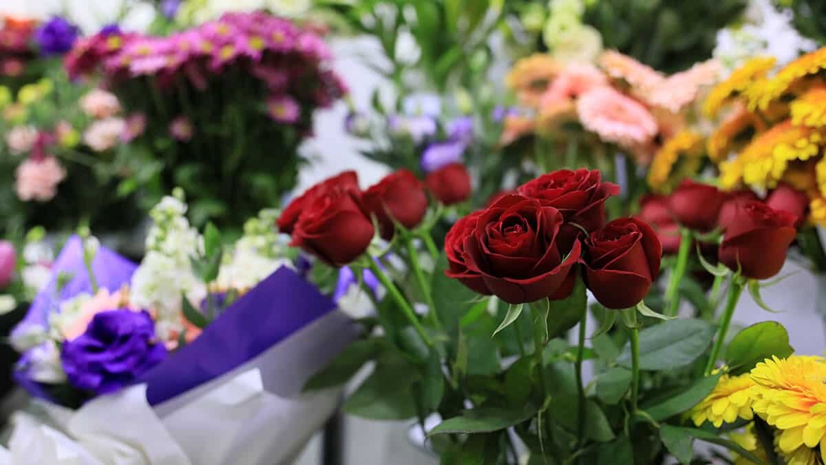 Kırmızı gül serada 5, çiçekçide 15 lira