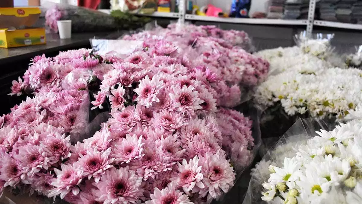 Sevgililer günü çiçeklerinin fiyatları yükseldi
