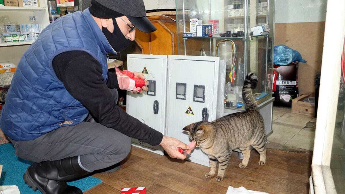 Selahattin Öztürk, ağır kış şartlarında kedilerin dükkanına girebilmesi için kapının altında yer açtı, gün içerisinde iş yerine giren 10 kediyi besliyor.