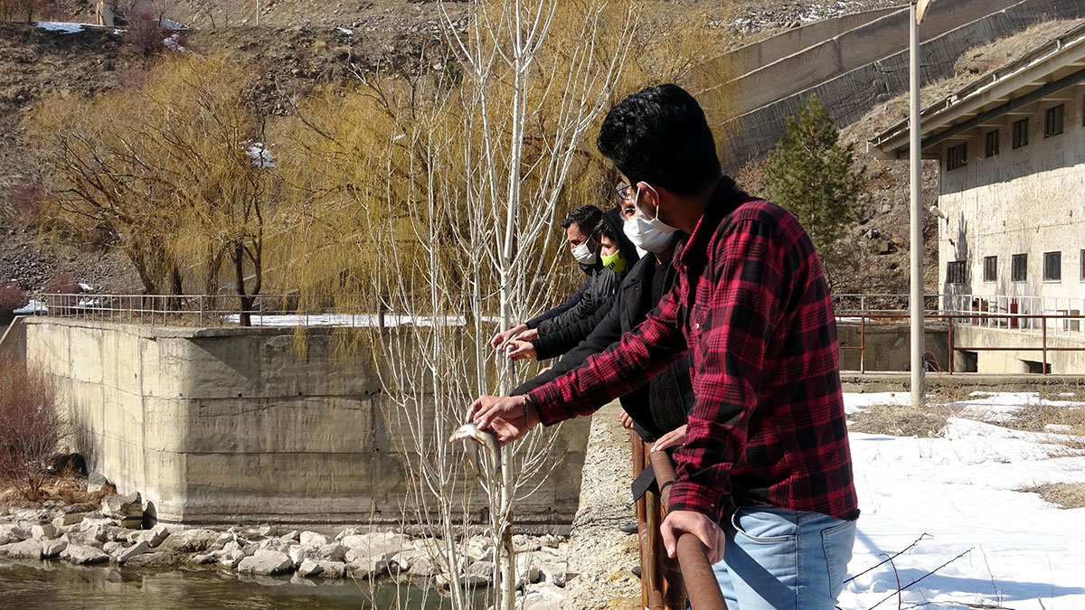 Su samurları inci kefali ile beslendi