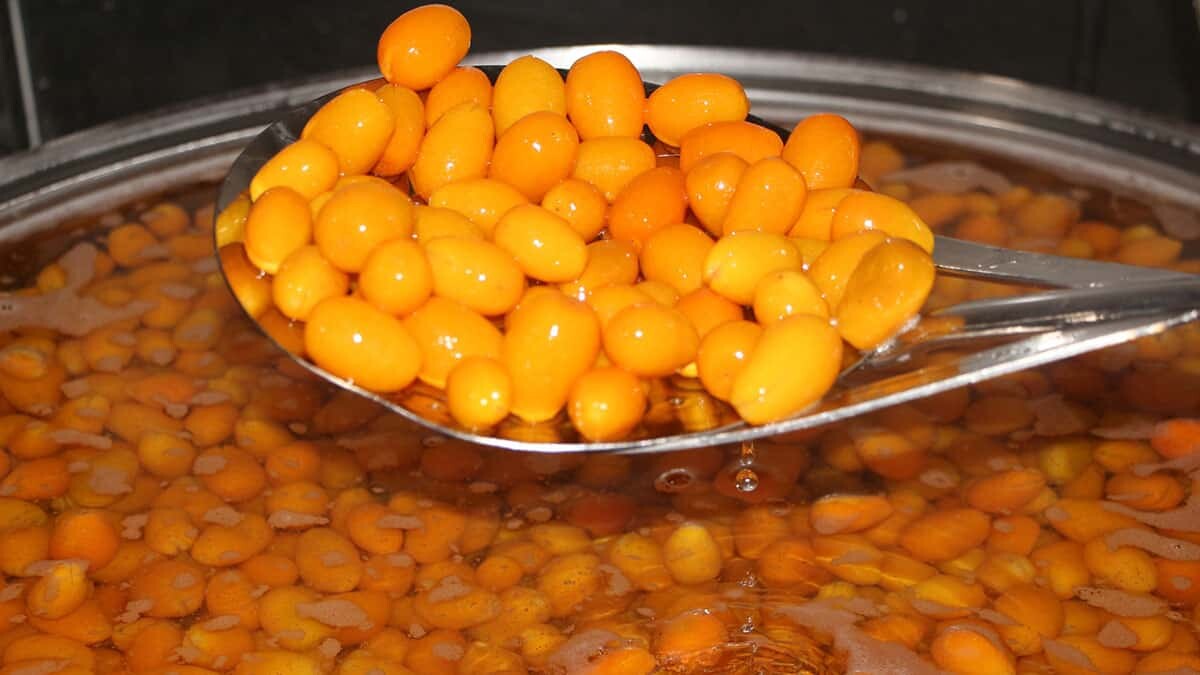 Kumkat ile haftalık 400 kilo reçel yapılıyor