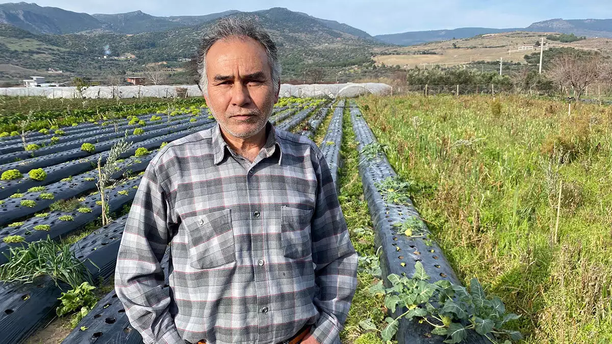 Türkiye'nin kışlık sebzesi i̇zmir'den