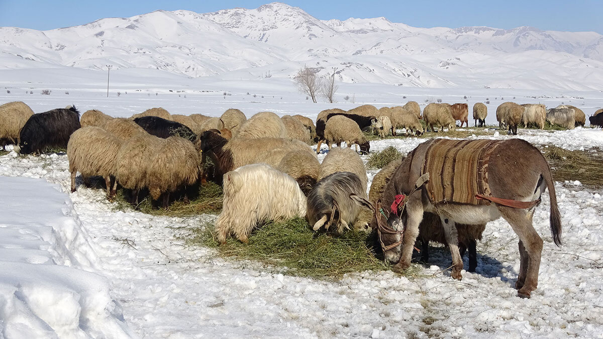 Besicilerin kış mesaisi zorlu geçiyor