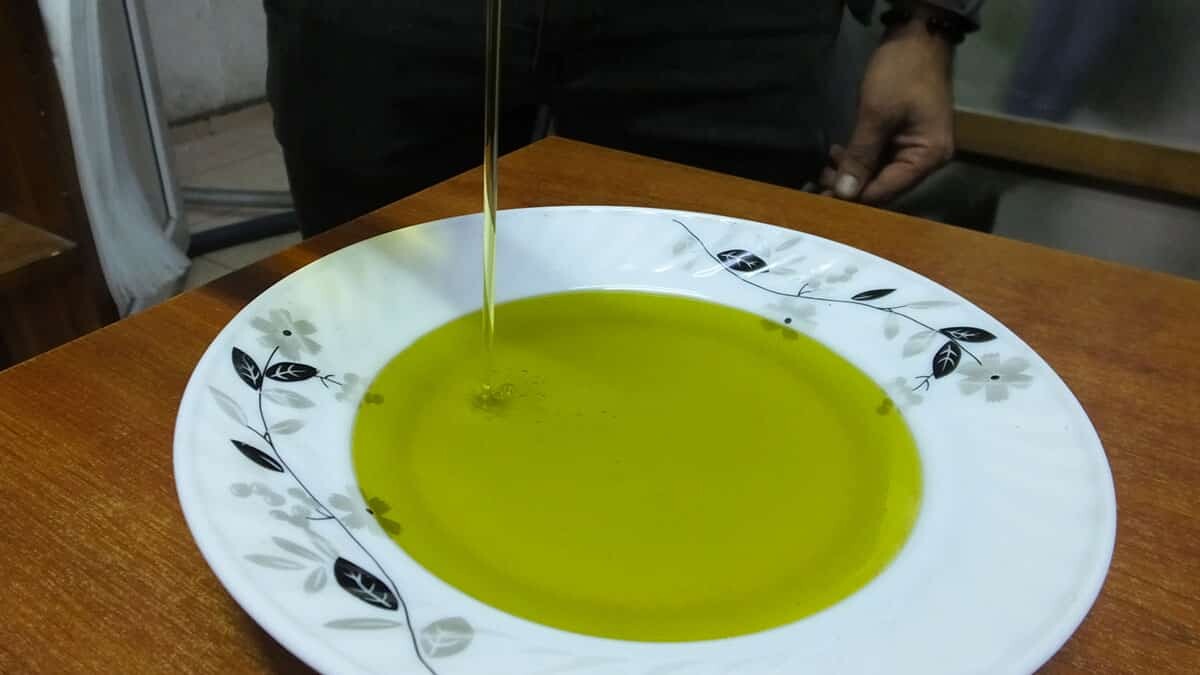 Zeytinyağı renkli cam şişelerde saklanmalı