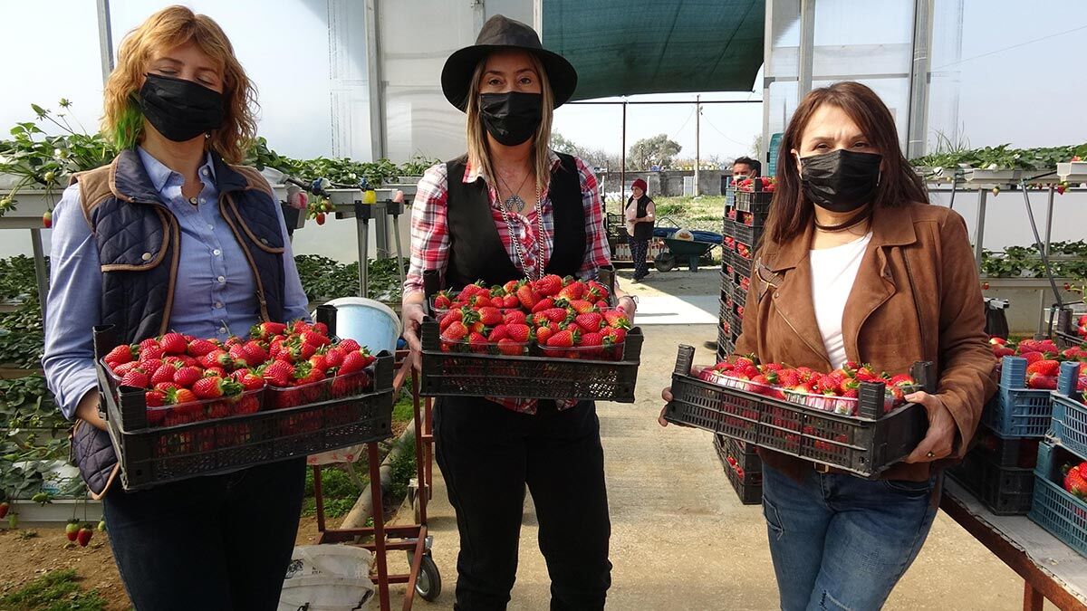 Özel bir bankada yönetici olan Feyzan Ecer Şahan, 6 yıl önce çocuğunu büyütmek için işten ayrıldı. Bankadaki işine geri dönmeyen Şahan, tarım sektöründe üretim yapmak için araştırmaya başladı.