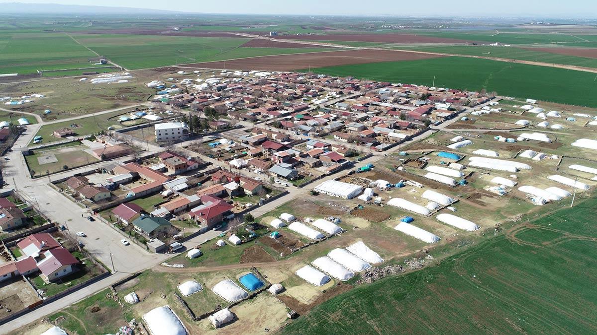 200 kuzu annelerine kavuştu