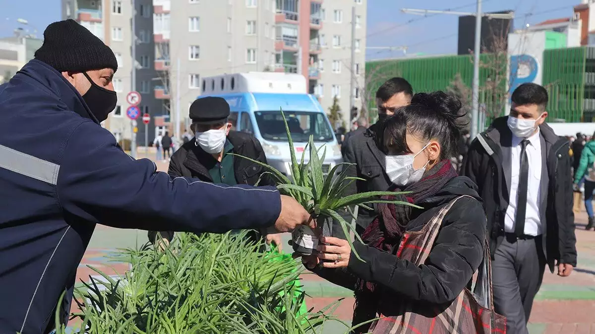 Kadınlar günü’nde online olarak birçok etkinliğe imza atan eskişehir büyükşehir belediyesi kadınlara binlerce aloevera çiçeği dağıttı.