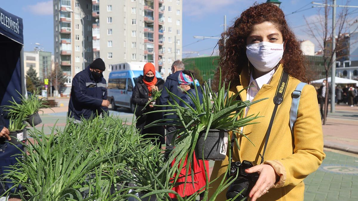 Kadınlara binlerce aloevera çiçeği dağıtıldı