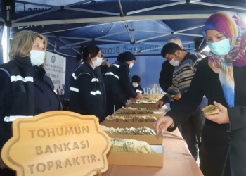 Yerel Tohum Takas Günlerine yoğun ilgi
