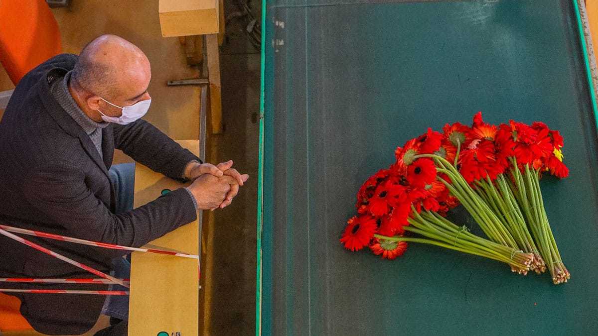 Dünya kadınlarına 60 milyon dal çiçek