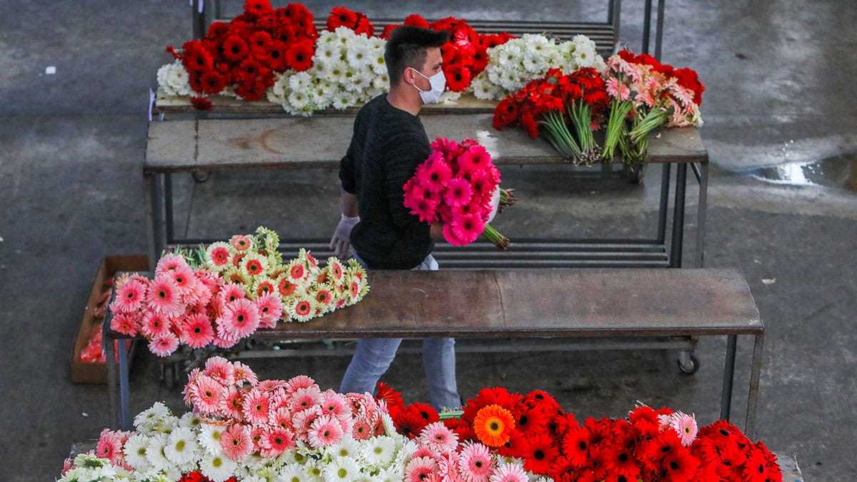 Mezatlarda da hareketliliğin yaşandığı bu günlerde çiçeklerin fiyatları açık artırmayla belirleniyor.