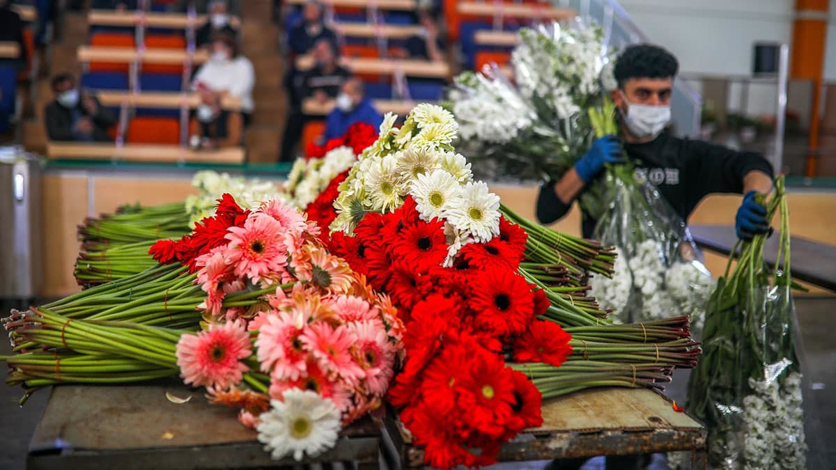 Dünya kadınlarına 60 milyon dal çiçek