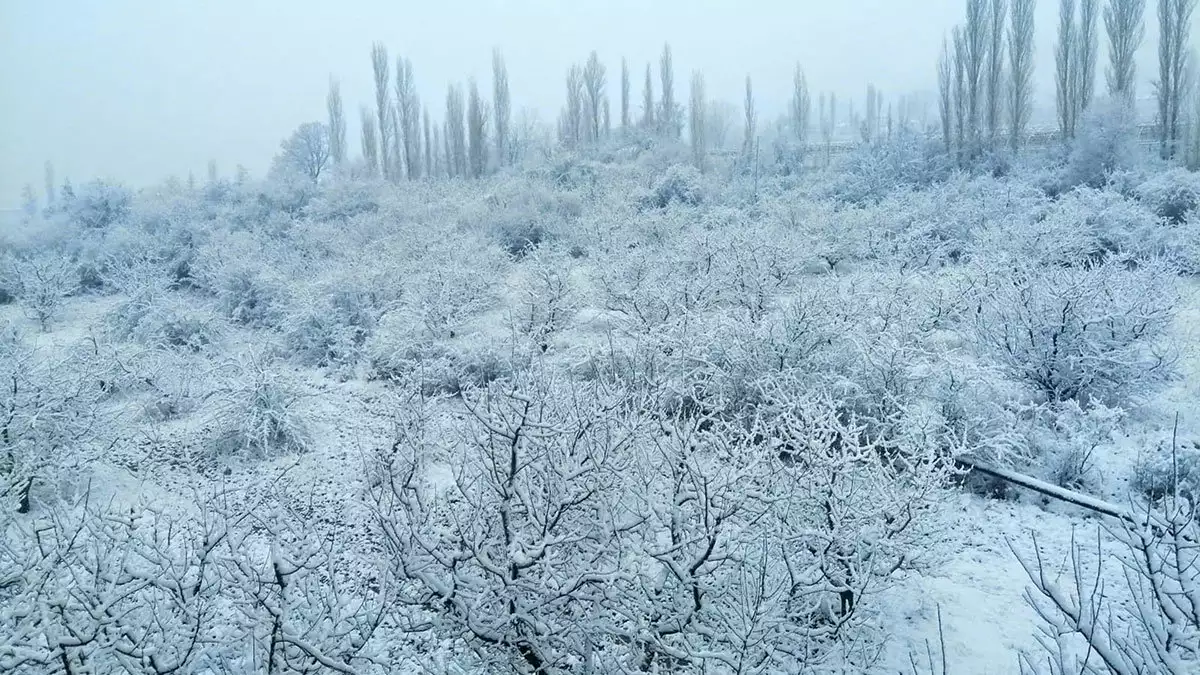 Antalya'da kar yağışı etkili oldu