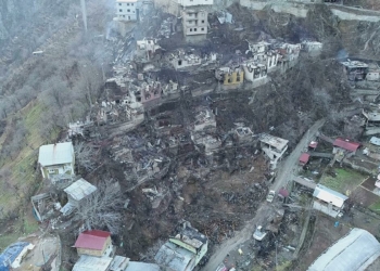 Artvin'de köydeki yangın felaketinin boyutu