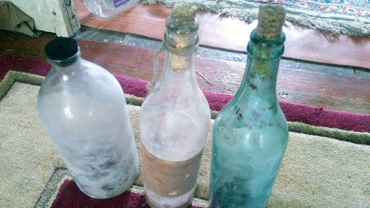 15 cam şişe içindeki sebze ve buğday tohumlarını ekerek organik tarım başlatan Somuncu ailesi Ata tohumuyla katkısız ürünler üretiyor.