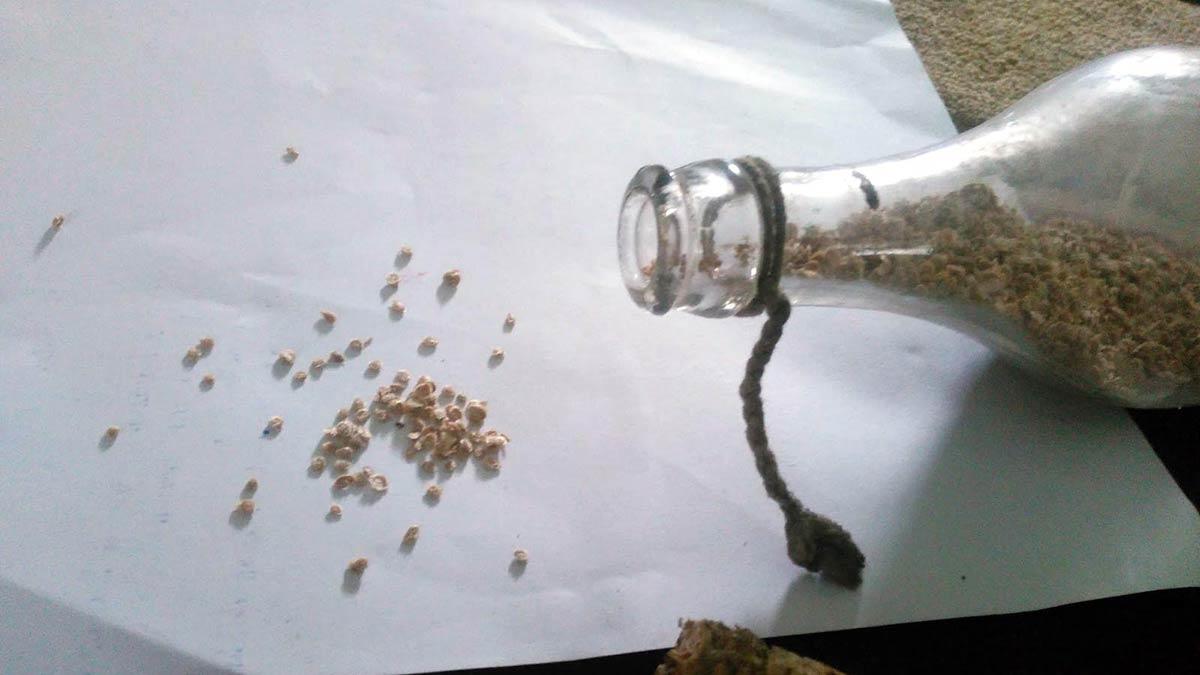 Ata tohumuyla katkısız ürünler üretiyor