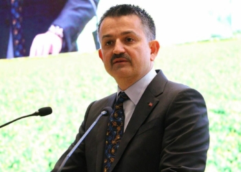 3 bin 119 kadın yatırımcımıza 2 milyar hibe