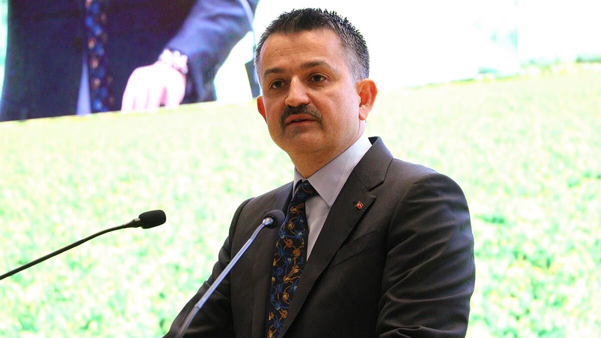 3 bin 119 kadın yatırımcımıza 2 milyar hibe